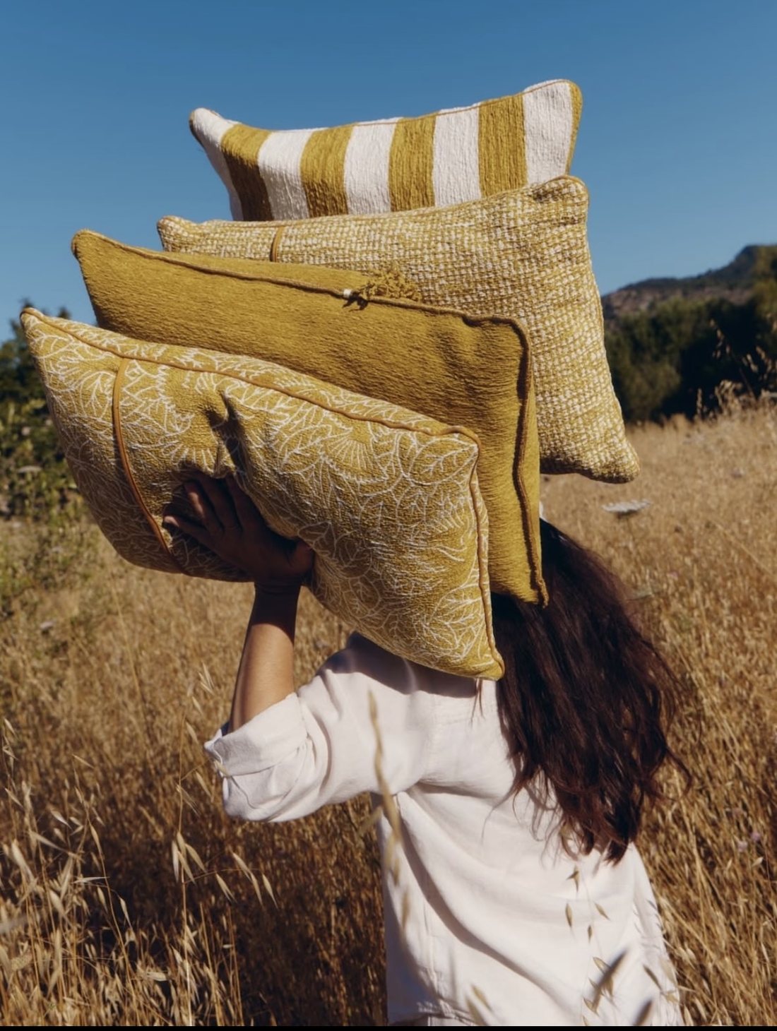 Cushions in a golden field